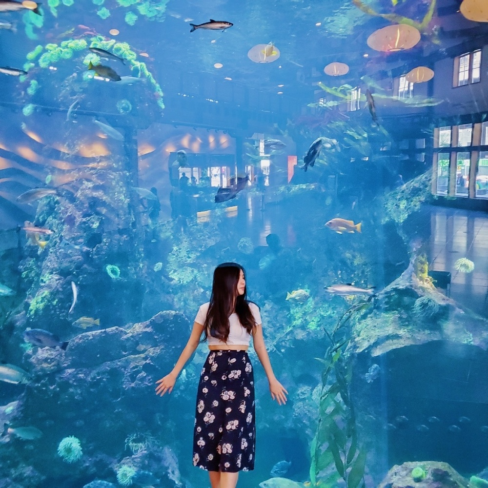 Meet your Posher, Renee